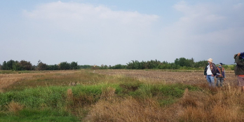 Chính chủ cần bán gấp 1150m2 đất trồng cây lâu năm xã Phú Đông (BĐ 30)