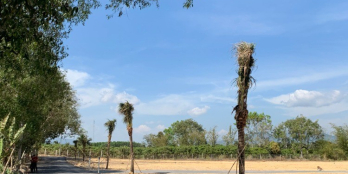 Bán đất Bình Châu 1000m2 view hồ sổ sẵn 1,6tỷ tặng vườn cây ăn trái tưới tự động