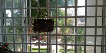 Sỡ hữu căn hộ chung cư giá rẻ ngay quận Ninh Kiều Cần Thơ