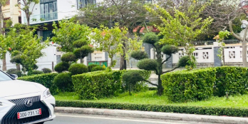 Tôi chính chủ cần bán cắt Lỗ căn Biệt thự siêu rẻ, vị trí đẹp MT Hùng Vương