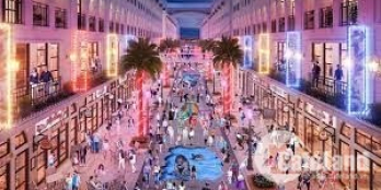 Shophouse liền kề TTTM Vincom Plaza giá 3 tỷ 2