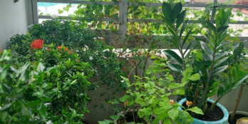 Nhà đẹp lung linh 3PN, mới vào ở ngay tại Quận 10 chỉ 5.7 tỷ