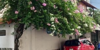 Bán Villa 3 mặt tiền Cư Xá  Đồng Tiến, Phường 14, Quận 10