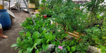 4 Tầng lô gốc hẻm xe hơi quay đầu- Hương lộ 2 Bình Tân