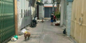 Nhà hẻm 3m Phạm Văn Hai, P5, Q. Tân Bình. DT: 3,4m x 11m, 1 lầu. Giá: 4.7 tỷ TL