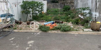 BÁN LÔ ĐẤT HẺM 183 LƯU CHÍ HIẾU, PHƯỜNG 10, VŨNG TÀU