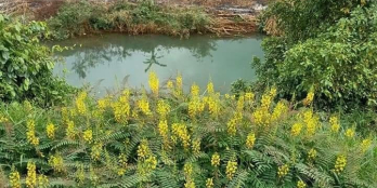 Chính chủ cần bán 3 lô đất, DT mỗi lô 600m2 tựa Sơn hướng Thủy tại Bảo Lộc