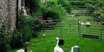 Chỉ với 2 triệu/m2 sở hữu không gian nghỉ dưỡng lý tưởng gần đường đi Đà Lạt