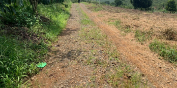 Cần bán 510m2 đất view sông, giá chỉ 1 tỷ 190 triệu, bao giấy tờ tại TP Bảo Lộc