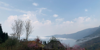 Bán lô đất view săn mây, ruộng bậc thang Phan Cán Sử, Y Tý, Bát Xát, 1500m2