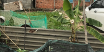 Bán Đất Biên Hoà Tân Hạnh giá hiếm