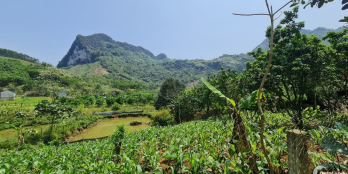 Bán Lô Đất Tựa Núi Hướng Thủy, Chưa Qua Đầu Tư