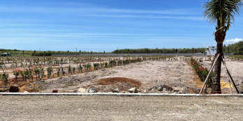 SẮP MỞ BÁN ĐẤT NỀN HOT TẠI BIỂN HỒ TRÀM