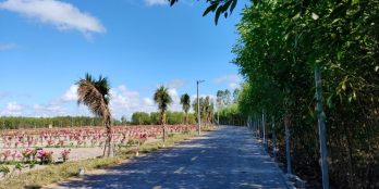 Đất sổ riêng từng nền chỉ 4 tr/m2 có thổ cư, liền ề sân bay Lộc An