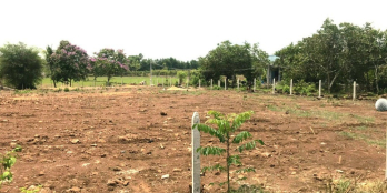 Kẹt tiền bán gấp lô đất 3 mặt tiền đường, có rào sẵn và 80m2 thổ cư.