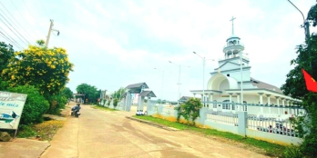 Cần bán vườn xoài full thổ cư, đường bê tông, view hồ Trị An