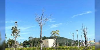 Đất Nền Trung Tâm Thị Xã Đức Phổ