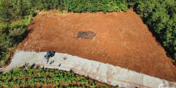 Cần bán gấp lô đất 250m2 có sẵn 100m2 thổ cư tại Xã Tân Hưng,Hớn Quản,Bình Phước