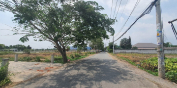 Bán đất 3554m2 MT 40m ngã 3 Đinh Văn Ước_T8 Hưng Long kế Vành Đai 4 15.5 tỷ