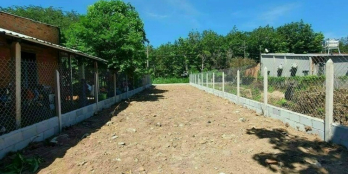 Bán Đất Mặt Tiền Bà Thiên, Nhuận Đức, 206m2, Sổ Hồng Riêng