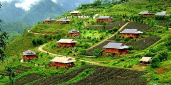 Đón sóng Sân Bay Sapa, Tả Phìn đang là thời điểm vàng cho các nhà đầu tư vào thờ
