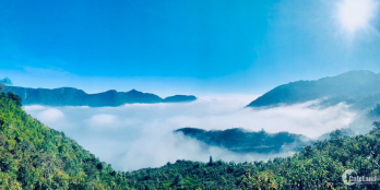 Gần trung tâm Sa Pa. DT 1800m2 giá 1.4 tỷ, lô góc 2 mặt đường