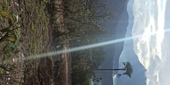 Đất nền Sapa, đón đầu sóng sân bay Sapa. Giá đang còn rất rẻ, thanh khoản nhanh