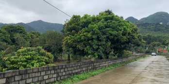 Đầu tư sinh lời khủng với lô đất Chính chủ đất nhà vườn nghỉ dưỡng