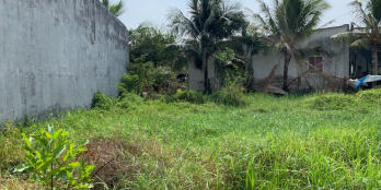 NỀN THỔ CƯ PHÚ KHƯƠNG GẦN CHỢ TÚ ĐIỀN