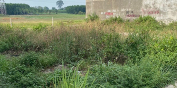 Bán đất Bình Hoà mặt tiền đường