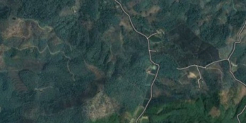 Gia đình bán trang trại 61 ha ở Lào Cai