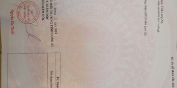 Bán 1.000m2 đất, giá 1,3 tỷ, xã Phước Lại, Cần Giuộc, xe hơi đến nơi