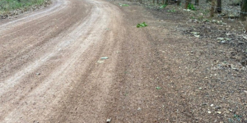 Đất sào đầu tư liền kề khu công nghiệp Bcamex Đồng Phú