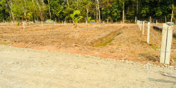 Đất vườn củ chi 500m2 giá rẻ 1ty250 chỉ 1 lô duy nhất sổ riêng