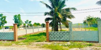 Đất vườn củ chi 519m2 mặt tiền kênh Nhà Nước cực hiếm