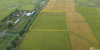 Bán đát CHN Trung Lập Thượng, 6700m2, đường bờ đất có thể tách sổ