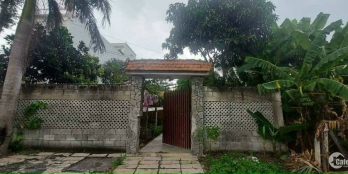 Đất củ chi giá rẻ 1168m2 chỉ 1ty300 sổ riêng bao chuyển nhượng