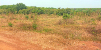 đất sào giá rẻ lộc ninh bình phước