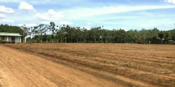 Cần Bán 2 Lô Đất Sào( Sổ Sẵn).