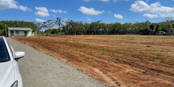 Cần bán gấp 2 lô đất sào liền kề sổ sẵn ngay Kcn LEDANA Lộc Ninh - BP