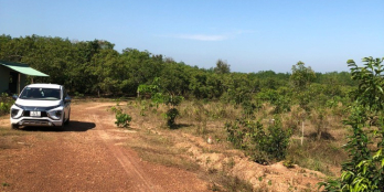 đất sào giá rẻ tại bình phước mặt tiền đất ngang 20m