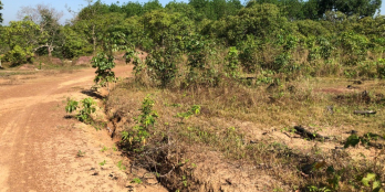 cần bán gấp lô đất sào 1000m2 mặt tiền ngang 20m tại lộc ninh bình phước