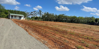 Cần bán gấp lô đất sào ngay KCN Ledana ở Lộc Ninh Bình Phước Giá 440tr/lô.