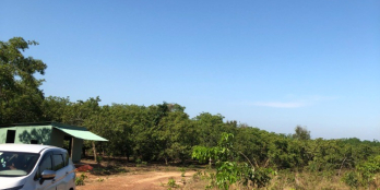 Còn 2 lô đất sào sát Kcn lớn tiềm năng sinh lời cao giá rẻ bình phước