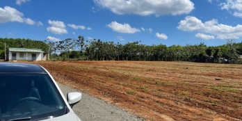 Cần Bán Đất Sào - Giá Rẻ -Sổ Sẵn - Lộc Ninh chỉ 439Triệu/nền