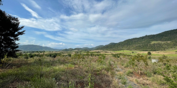 BDS Phú Yên #19: BÁN ĐẤT NÔNG TRẠI TẠI SƠN HÒA GIÁ CHỈ 520TR/M2, CÁCH QUỐC LỘ 30