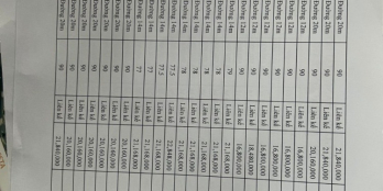 Đã Có Gía Và Giỏ Hàng Chính Thức Dự Án Dragon Pearl, Chiết Khấu 7%. View Sông