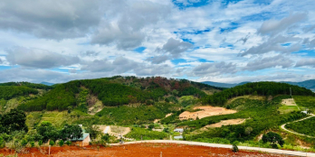 Gấp lô đất giá siêu siêu rẻ DT 1000m2 trục đường chính xã Nam Hà, view cực đẹp