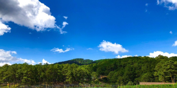 CẦN BÁN LÔ ĐẤT 8800m2 NGAY KHU BIỆT THỰ ĐỒI AN SƠN - PHƯỜNG 4 - TP.ĐÀ LẠT