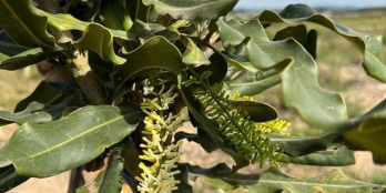 CẦN BÁN GẤP LÔ ĐẤT 4.3HA - 400M MẶT TIỀN XÃ NINH GIA - HUYỆN ĐỨC TRỌNG. VIEW CỰC